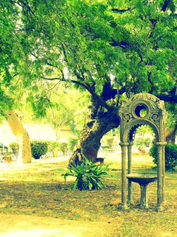 a colonial drinking fountain still standing in a karachi park. no water in it. the dogs use the shade instead.