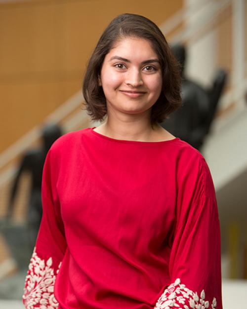 Anjum Malik